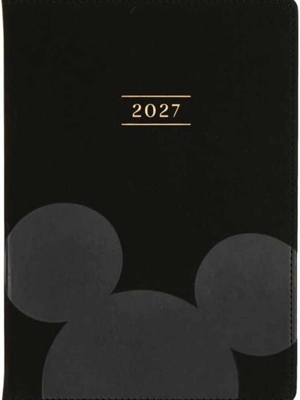 Disney-Inspired 12-Month Premium Book-Bound Planner | Small Size, Perfect for